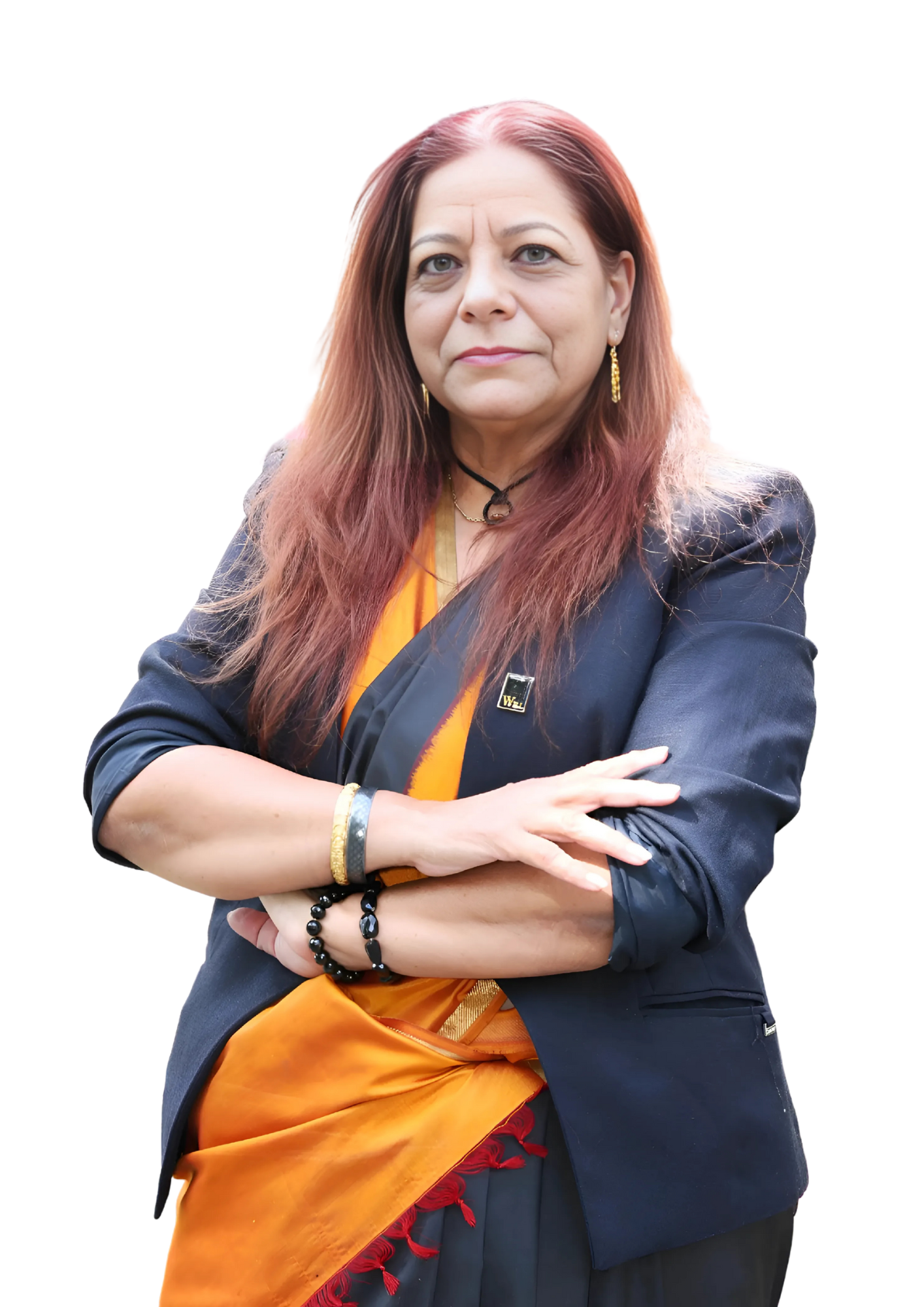 Program Mentor